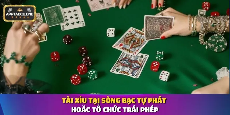 tai-xiu-tai-song-bac-tu-phat-hoac-to-chuc-trai-phep